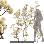 57 Different SETS Of Bush Flowers SET VOL05