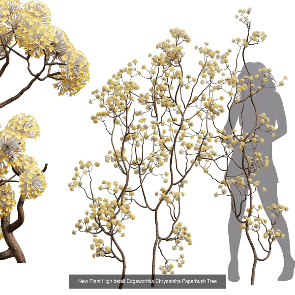 57 Different SETS Of Bush Flowers SET VOL05