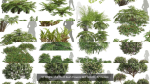 57 Different SETS Of Bush Flowers SET VOL05