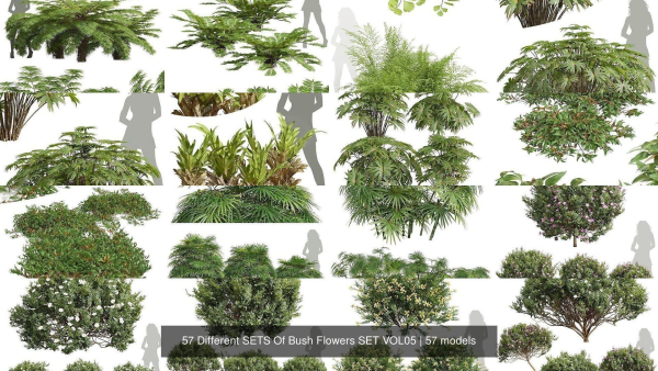 57 Different SETS Of Bush Flowers SET VOL05