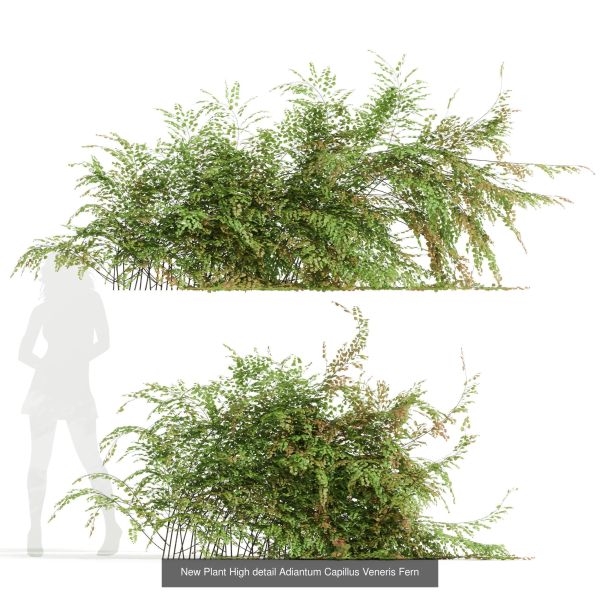 57 Different SETS Of Bush Flowers SET VOL05