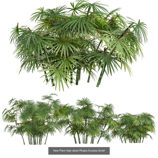 57 Different SETS Of Bush Flowers SET VOL05
