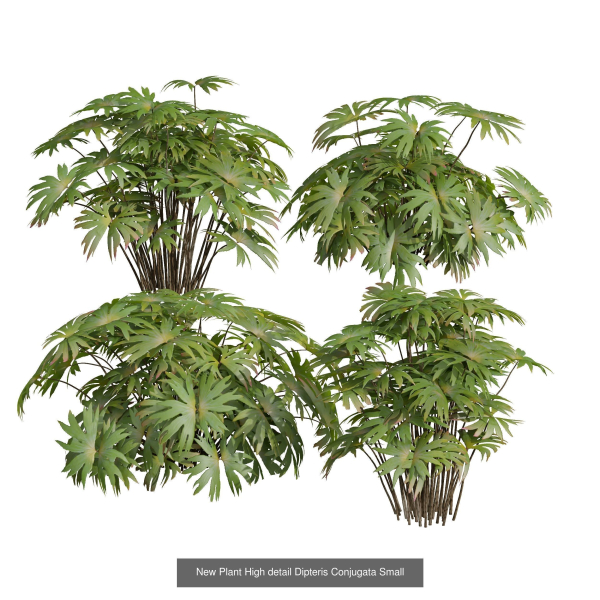 57 Different SETS Of Bush Flowers SET VOL05