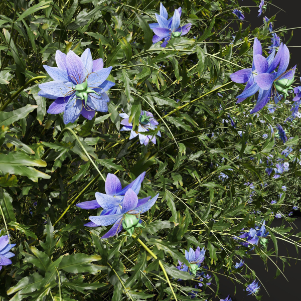 57 Different SETS Of Bush Flowers SET VOL05