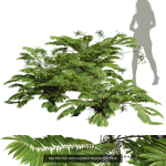 57 Different SETS Of Bush Flowers SET VOL05