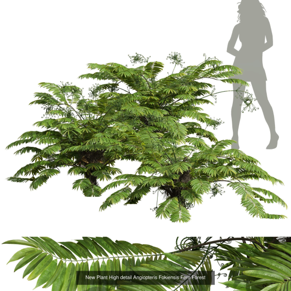 57 Different SETS Of Bush Flowers SET VOL05