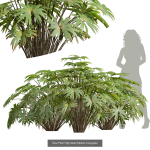 57 Different SETS Of Bush Flowers SET VOL05