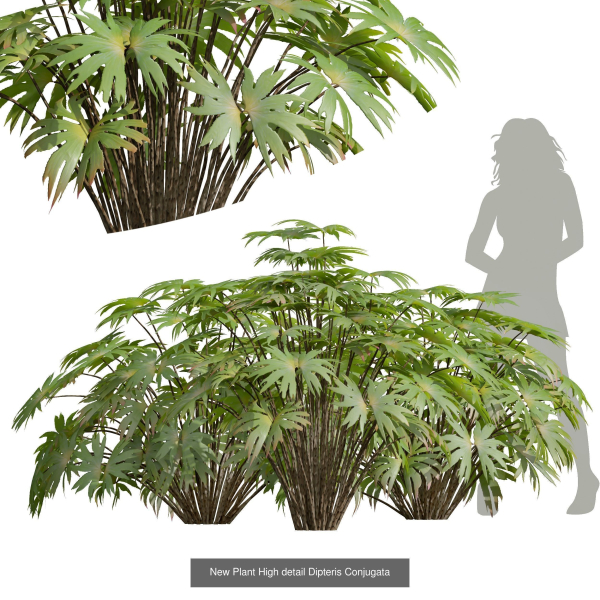 57 Different SETS Of Bush Flowers SET VOL05