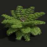 57 Different SETS Of Bush Flowers SET VOL05