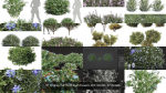 57 Different SETS Of Bush Flowers SET VOL05