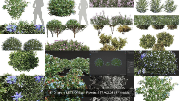 57 Different SETS Of Bush Flowers SET VOL05