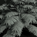 57 Different SETS Of Bush Flowers SET VOL05