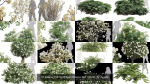 57 Different SETS Of Bush Flowers SET VOL05