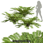 57 Different SETS Of Bush Flowers SET VOL05