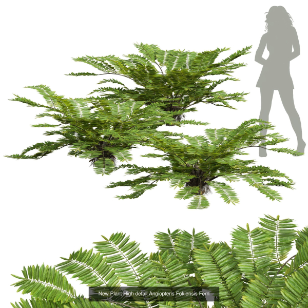 57 Different SETS Of Bush Flowers SET VOL05