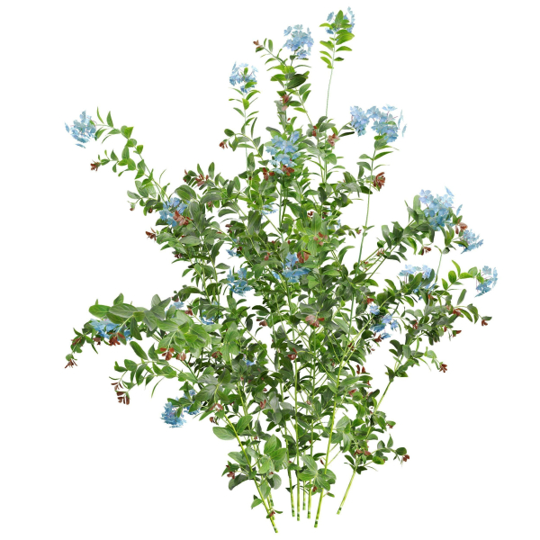 57 Different SETS Of Bush Flowers SET VOL05