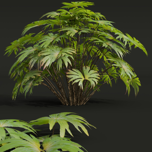 57 Different SETS Of Bush Flowers SET VOL05