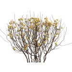 57 Different SETS Of Bush Flowers SET VOL05