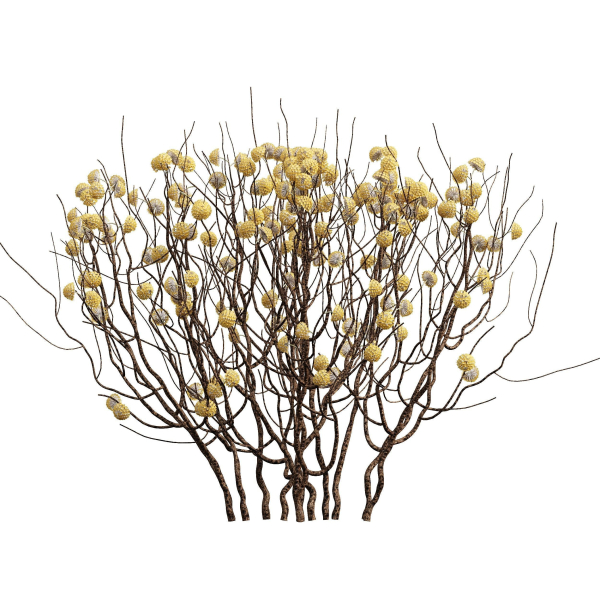 57 Different SETS Of Bush Flowers SET VOL05