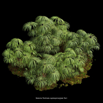 57 Different SETS Of Bush Flowers SET VOL05