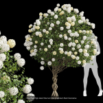 57 Different SETS Of Bush Flowers SET VOL05