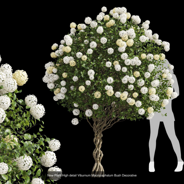 57 Different SETS Of Bush Flowers SET VOL05