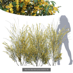 57 Different SETS Of Bush Flowers SET VOL05
