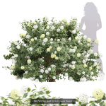 57 Different SETS Of Bush Flowers SET VOL05