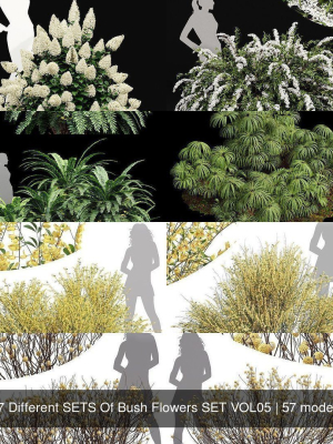 57-different-sets-of-bush-flowers-set-vol05-3d-model-deda72cca0