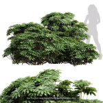 57 Different SETS Of Bush Flowers SET VOL05