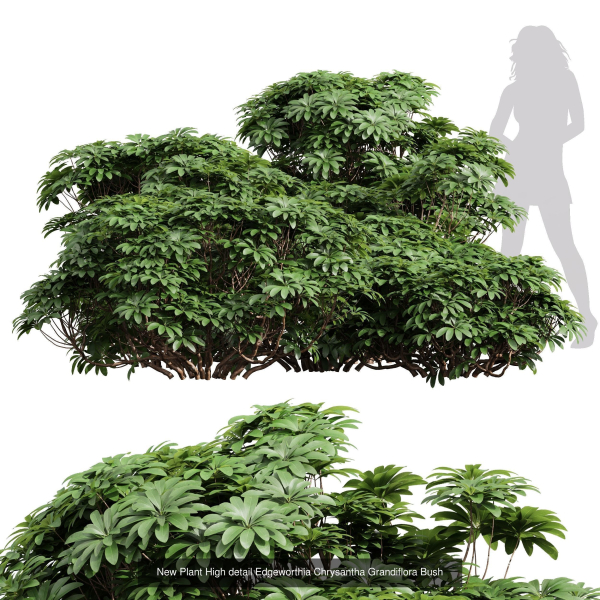 57 Different SETS Of Bush Flowers SET VOL05