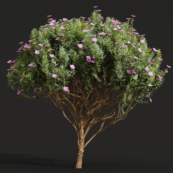 57 Different SETS Of Bush Flowers SET VOL05