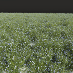 57 Different SETS Of Bush Flowers SET VOL05