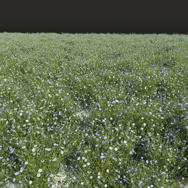 57 Different SETS Of Bush Flowers SET VOL05