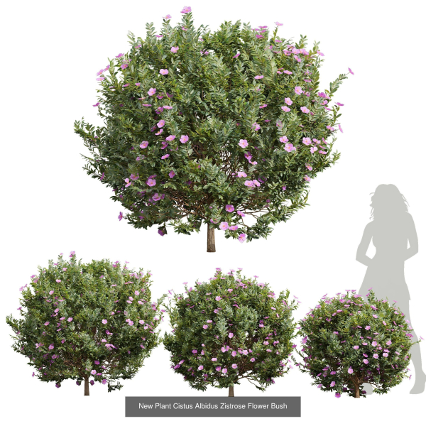 57 Different SETS Of Bush Flowers SET VOL05