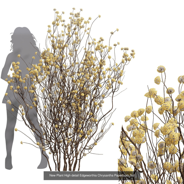 57 Different SETS Of Bush Flowers SET VOL05