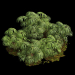 57 Different SETS Of Bush Flowers SET VOL05