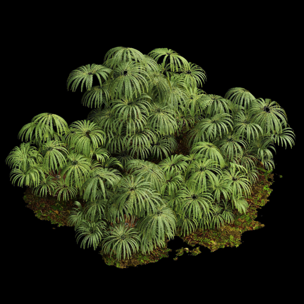 57 Different SETS Of Bush Flowers SET VOL05