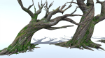 6 Dead Tree