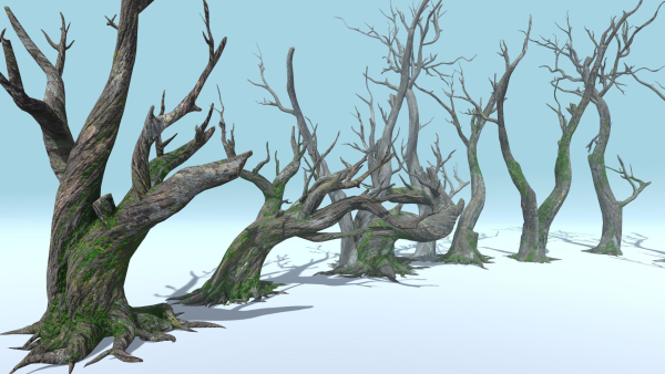 6 Dead Tree