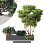 6 Different SETS of OUTDOOR SET VOL85
