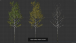 6 High quality Aspen tree collection