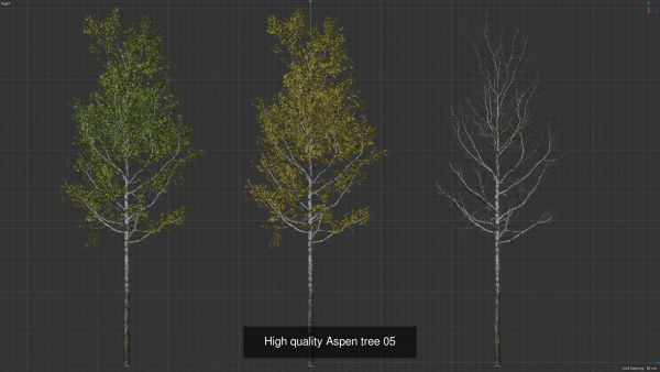 6 High quality Aspen tree collection