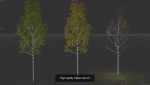 6 High quality Aspen tree collection