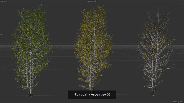 6 High quality Aspen tree collection