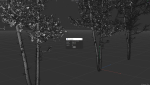 6 High quality Aspen tree collection