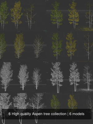 6 High quality Aspen tree collection