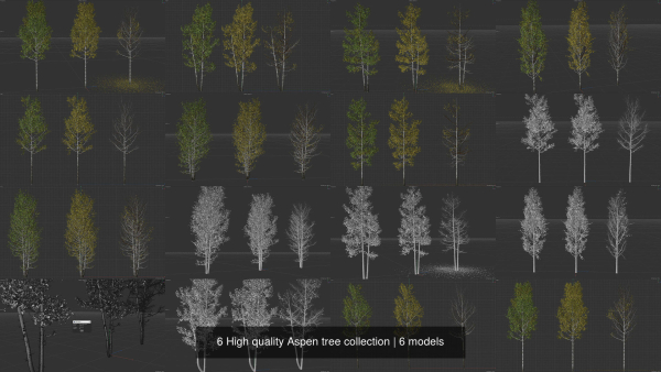 6 High quality Aspen tree collection