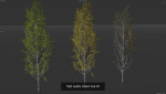 6 High quality Aspen tree collection