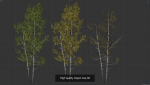 6 High quality Aspen tree collection